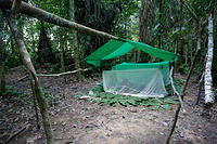 Лагерь в джунглях