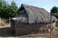 Традиционный дом мапучи (ruka)